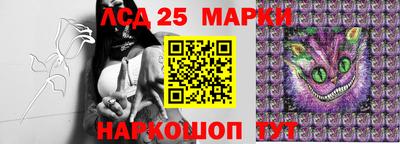 mdpv Дубна
