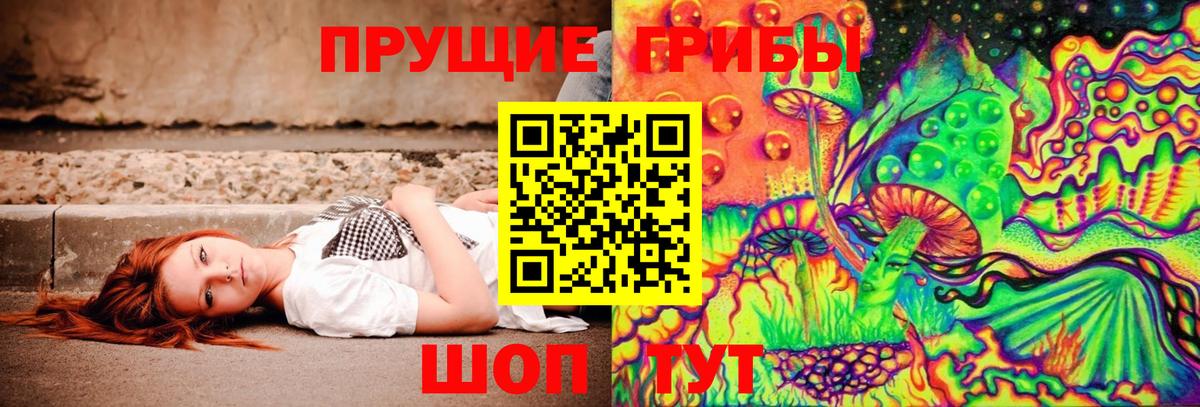 Псилоцибиновые грибы мухоморы Пугачёв