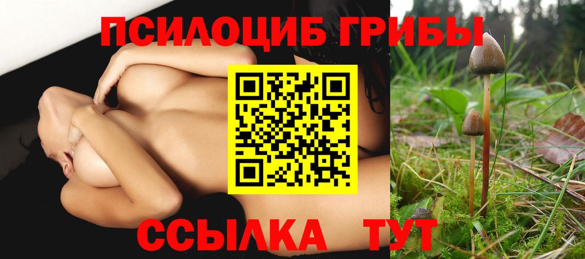 Галлюциногенные грибы Psilocybine cubensis  Вход с VPN  Пугачёв 